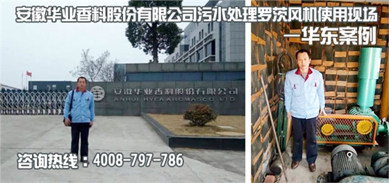 安徽華業(yè)香料污水處理用羅茨風(fēng)機使用現(xiàn)場