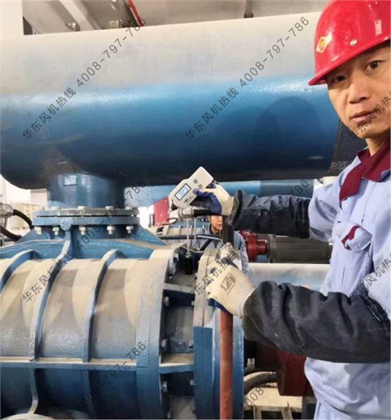 羅茨鼓風機振動值 羅茨鼓風機振動值