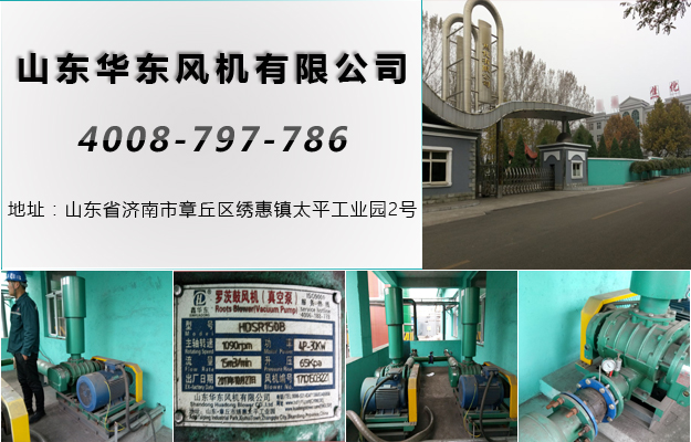 三葉羅茨風(fēng)機(jī) 三葉羅茨風(fēng)機(jī)